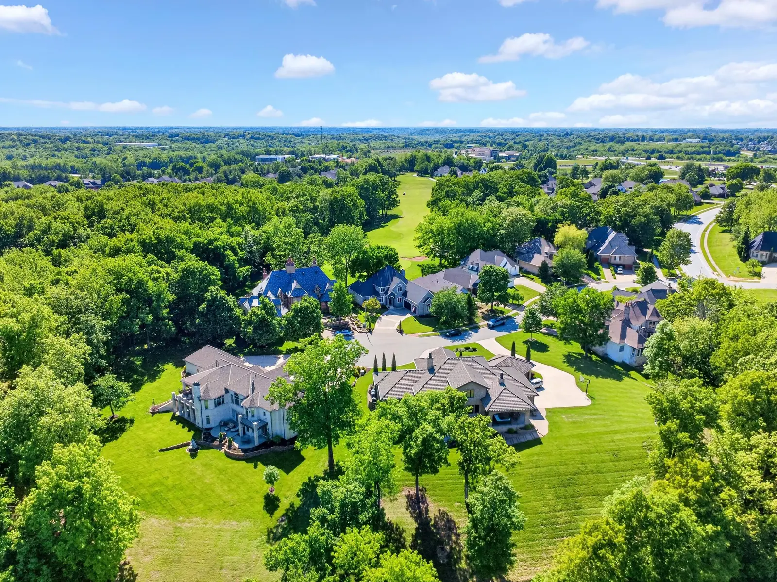 Aerial view of a wooded neighborhood
